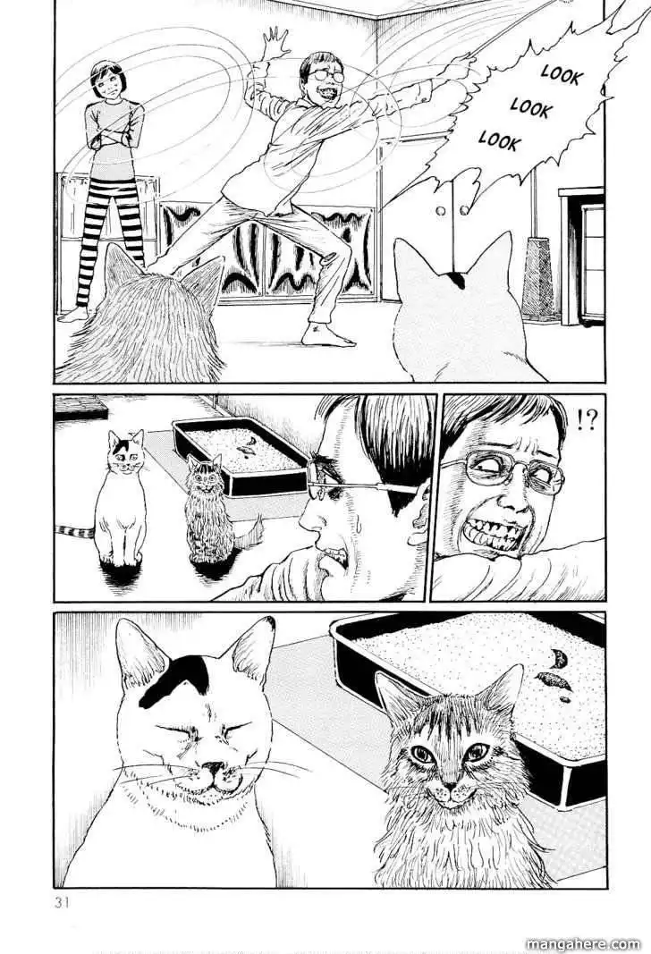 Ito Junji's Cat Diary Chapter 3 7